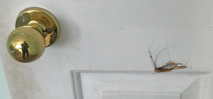interior door hole repair East Rancho Dominguez